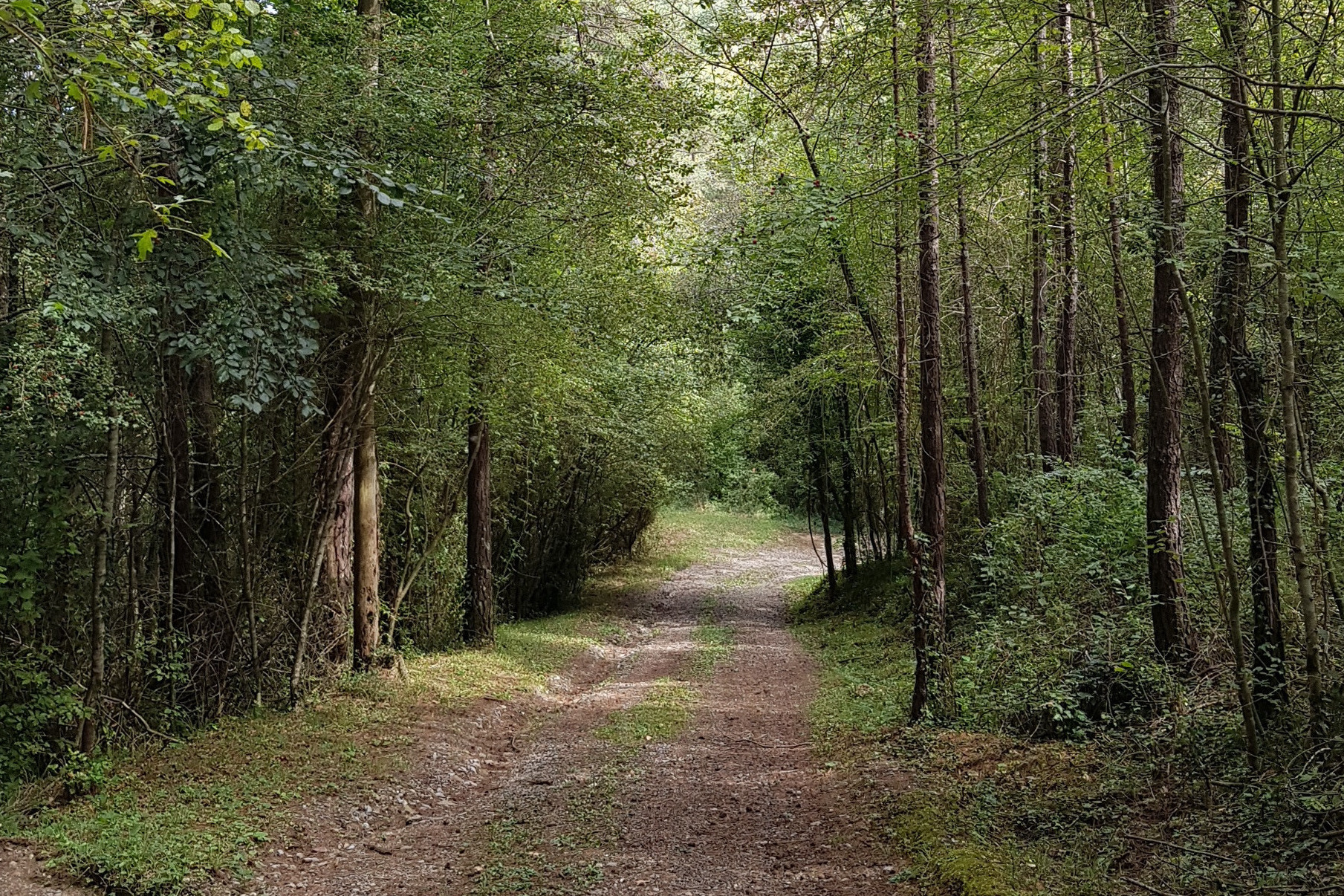 HONRAR TUS ORÍGENES, HONRAR LA TIERRA QUE TE VIO NACER